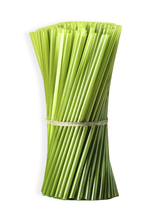 PAJITAS DE CHLORELLA